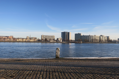 Wij zijn het adres voor acupunctuur in Rotterdam
